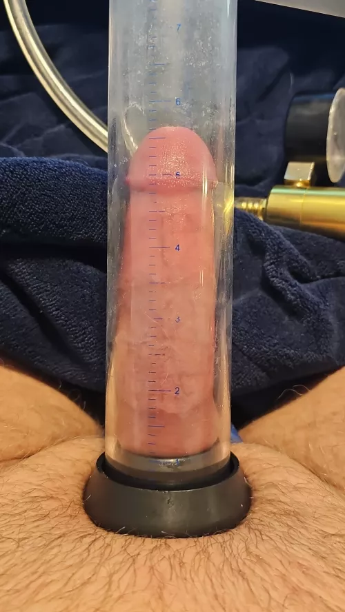 Trying hard under a heated blanket!