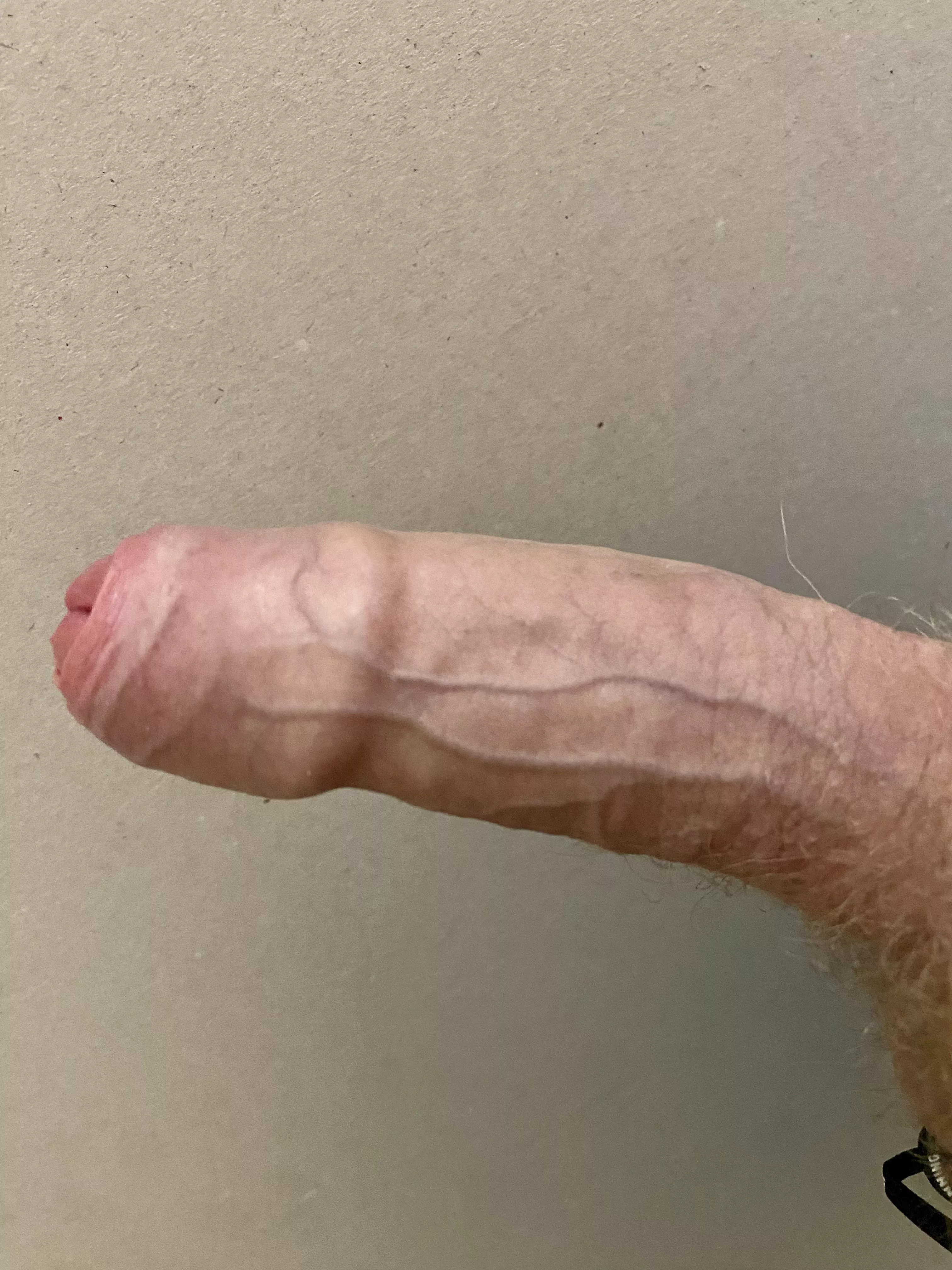 Anyone else got an average cock like me? All I see is huge cocks