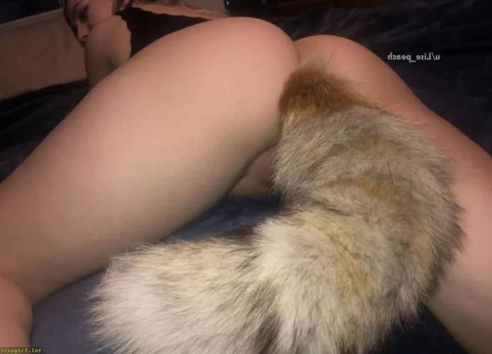 can I be your little pet