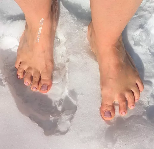 Do you like the cold?