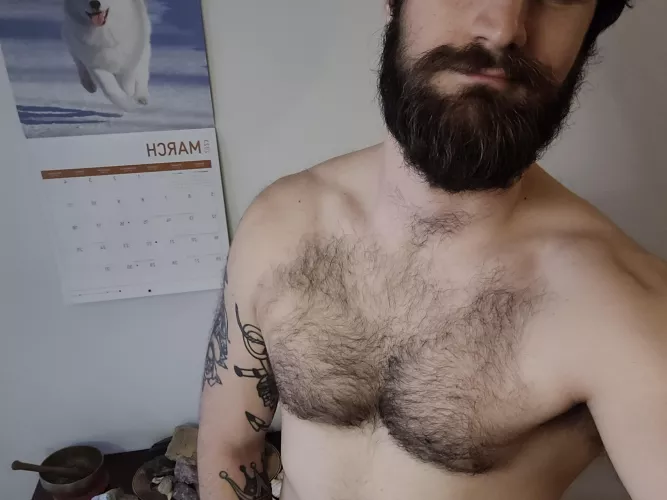 Double the fur with a samoyed 😂