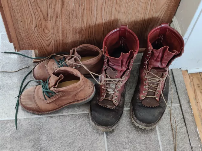 genes are weird; dad's rangers and my jobmasters