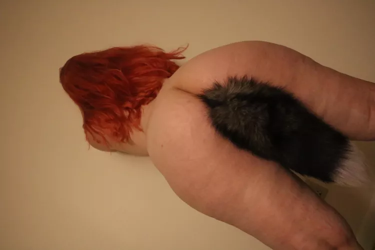 Play with kitten? 🐱