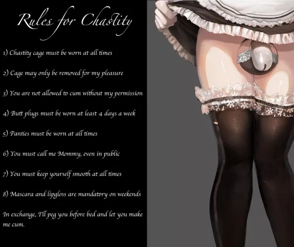 Rules for Chastity
