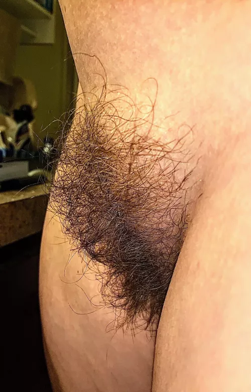 Small Town Wifey’s BIG Bush ❤️