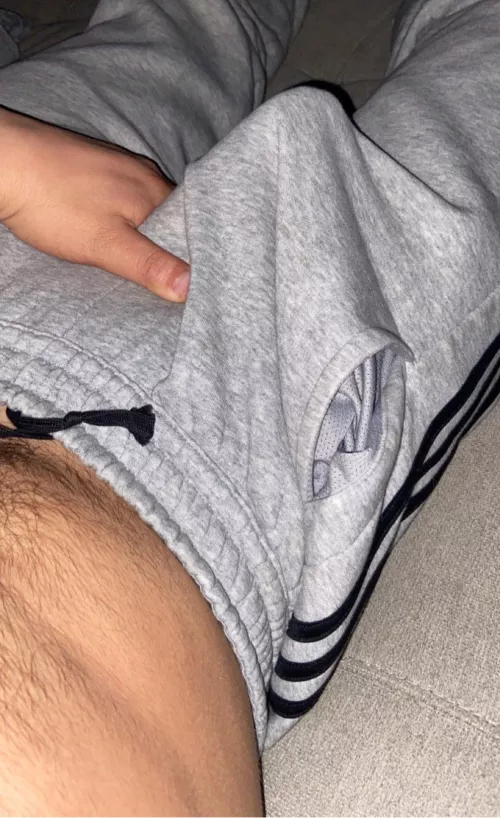 Who wants to see more