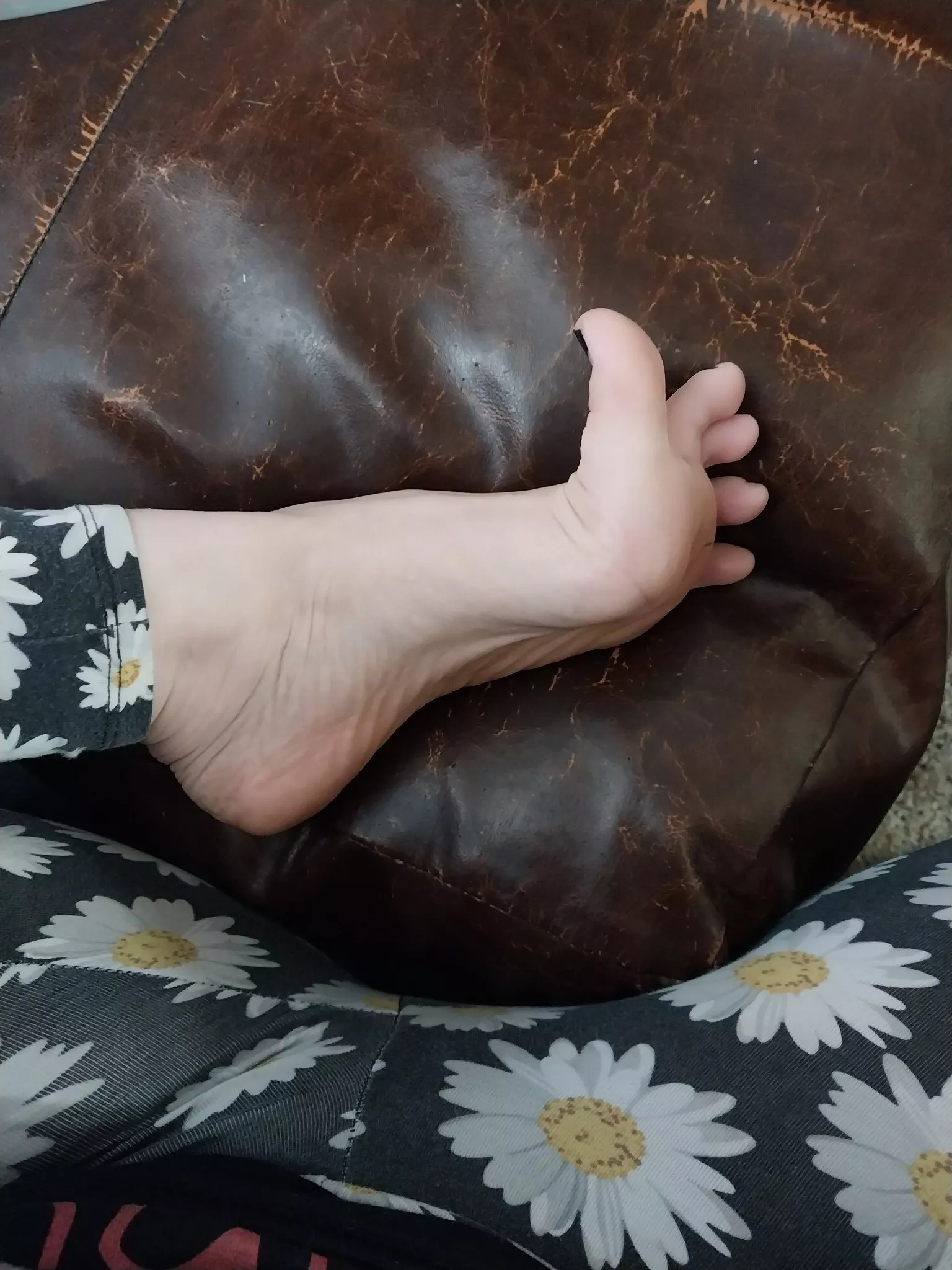 Wife sent me this to post! She'll send more for post if there's interest.