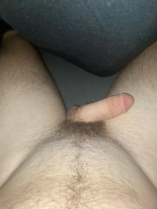 20 twink lookin for any bears or chubs that wanna talk. Williriving23