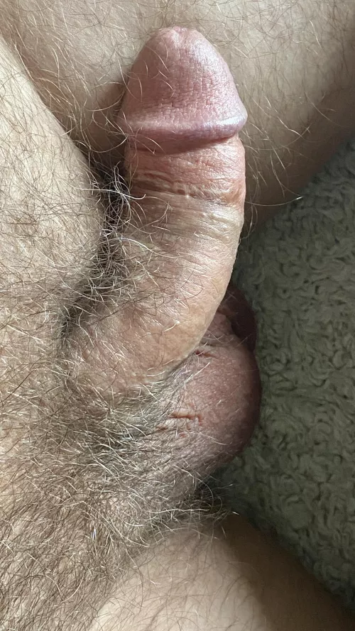 [44] fully soft cut cock