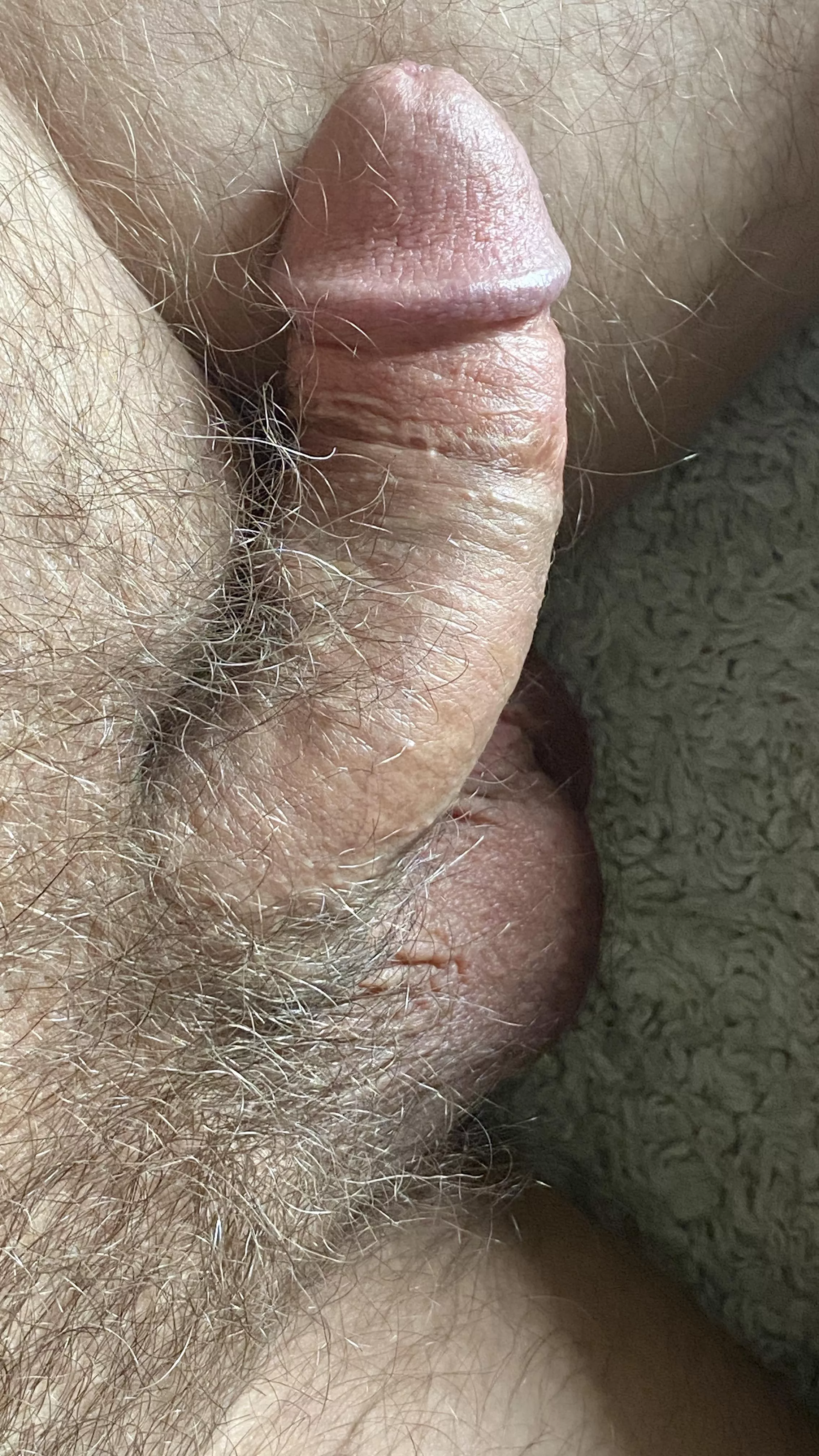 [44] fully soft cut cock