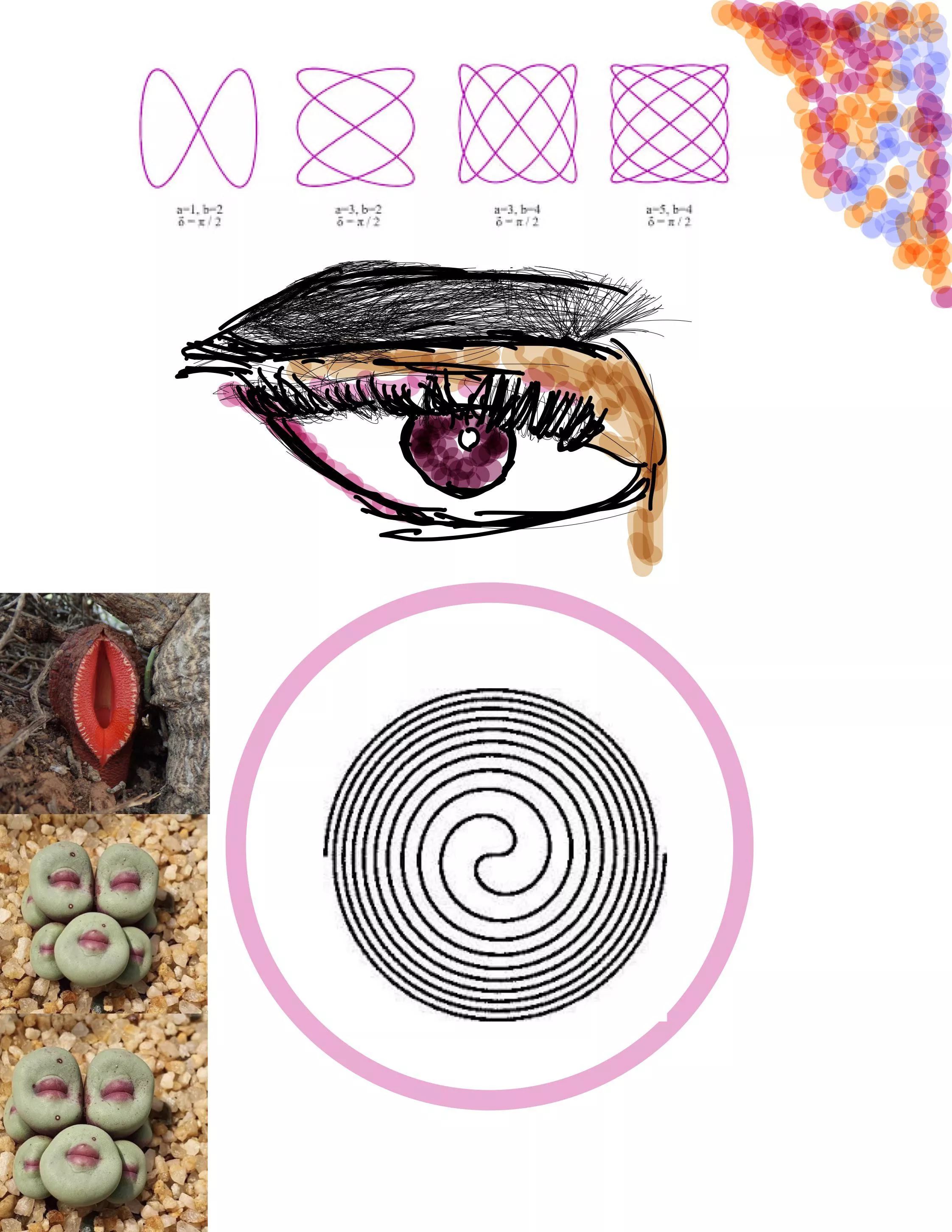 An Erotic Interpretation of Bretman Rock, me, Goodnotes, 2023