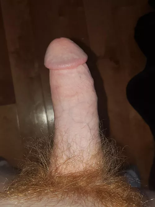 Anyone wanna exchange pics