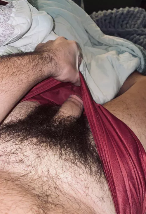 I should give my bush it’s own zip code 😂