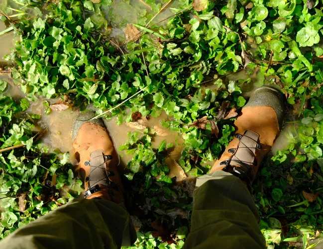Irish Setter Kasota taking a bath