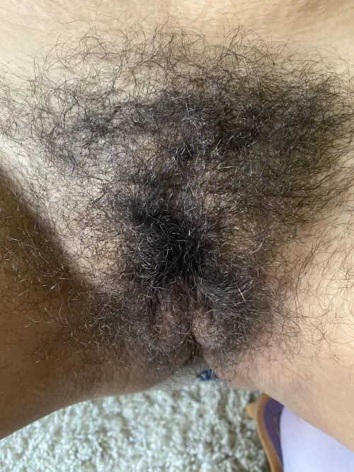 Just my big bush 😽🚫🪒🚫🥳