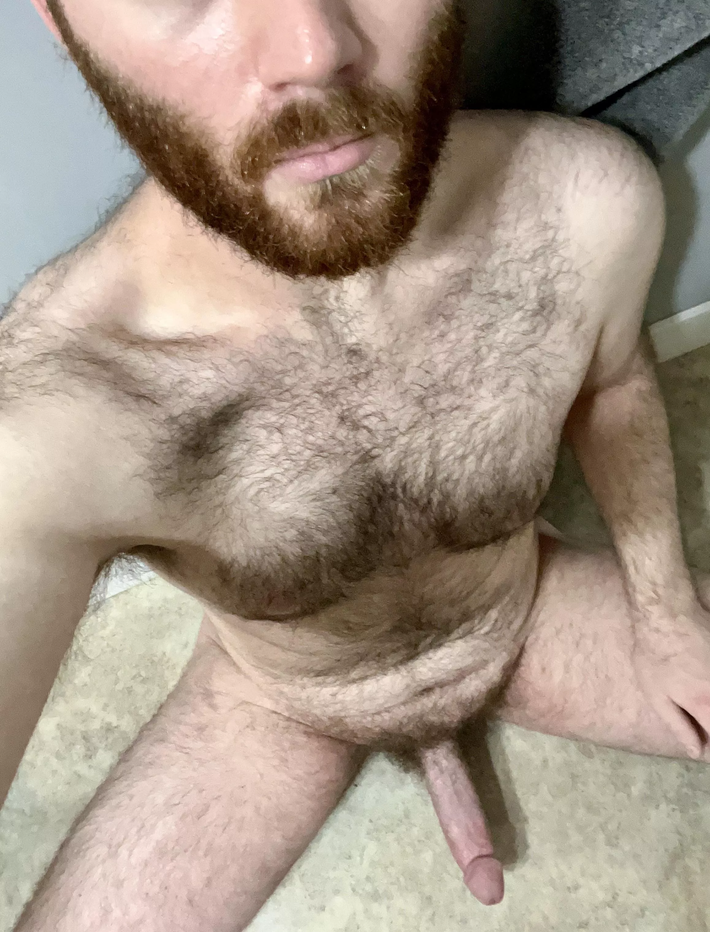 Love being a furry bro. DMs appreciated