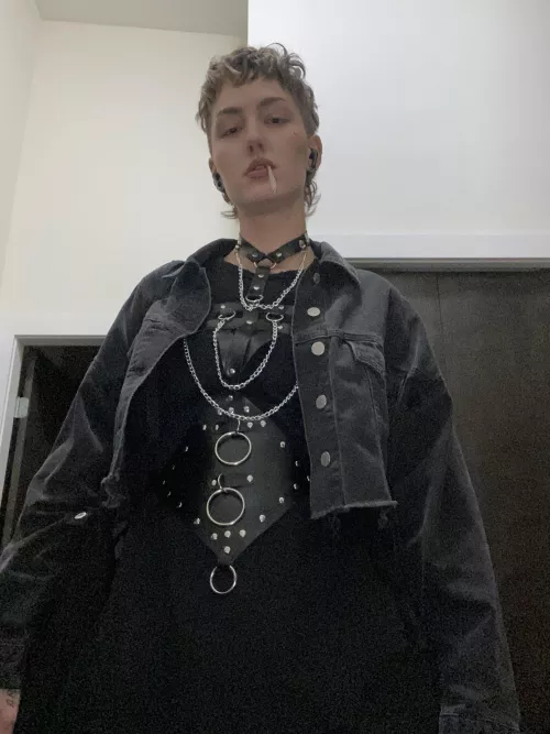 new harness 🤭 what do y’all think?