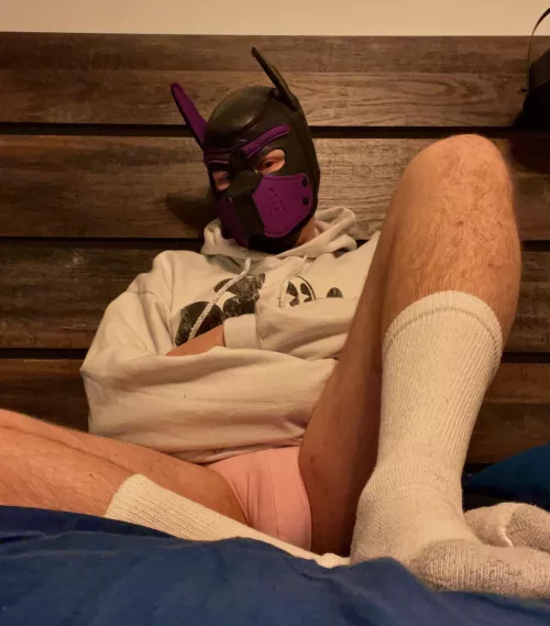 New pup trying to not be so shy