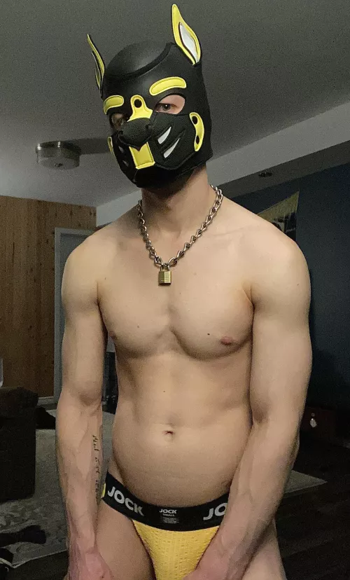 Not a new dog, but I got a new face. Hey y’all!