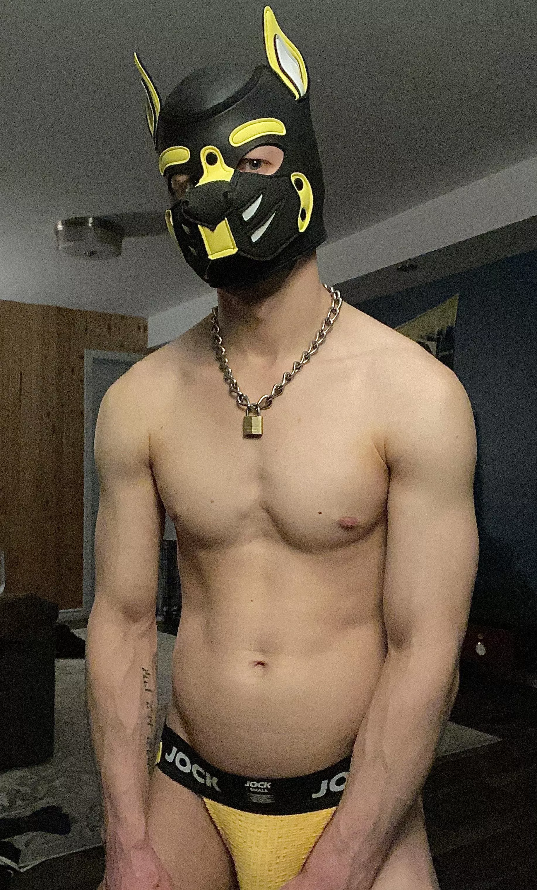 Not a new dog, but I got a new face. Hey y’all!