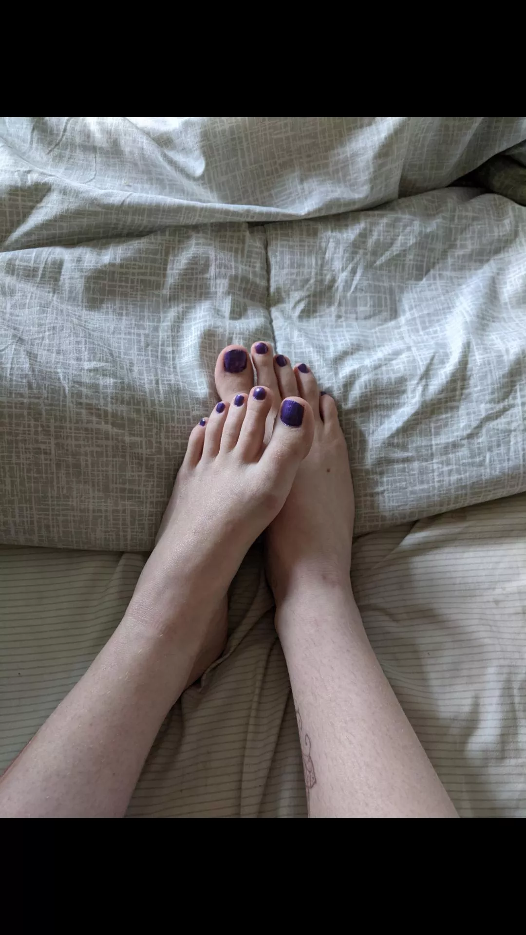 Purple is my favorite color