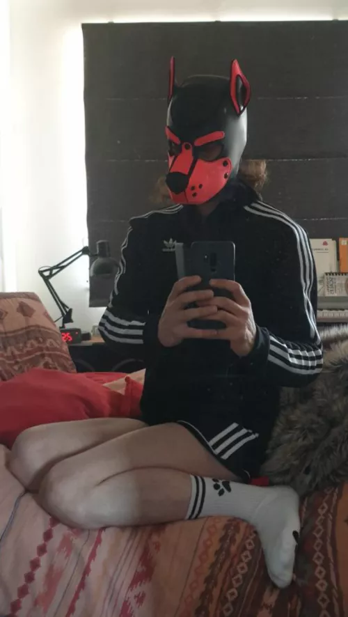 Ready for a good weekend 🐾