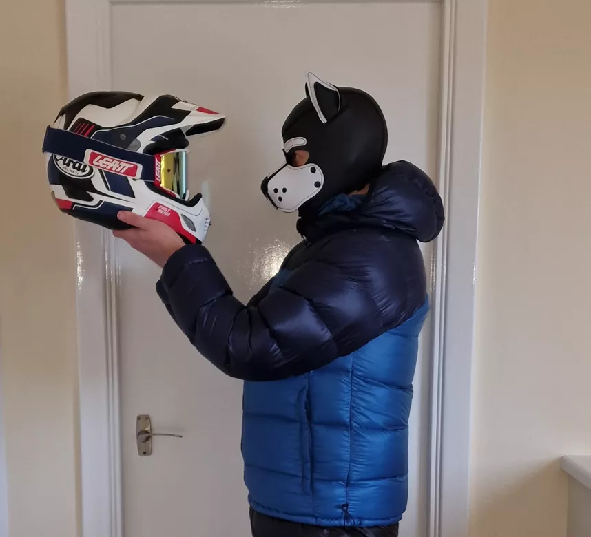 This pup's going for a ride!