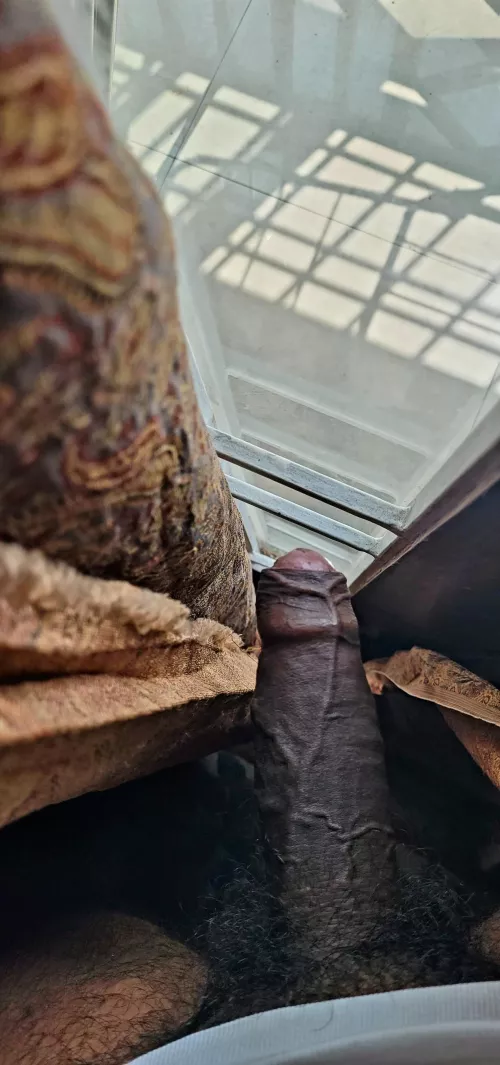 What should I shave first? [M]y beard or bush?