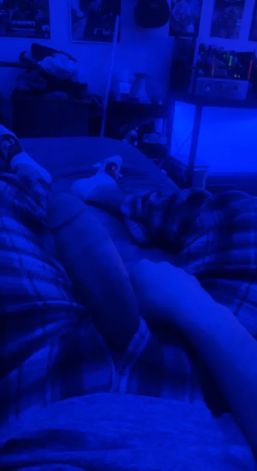 Who wants to compare?