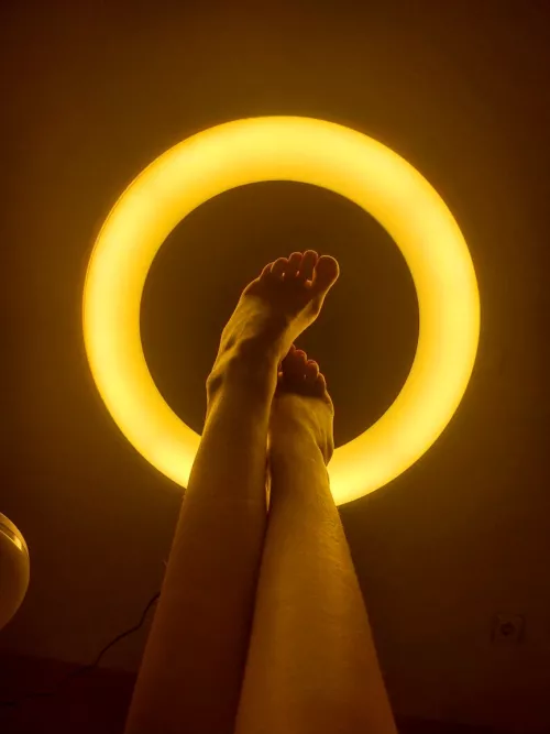 Who wants to sniff my feet?