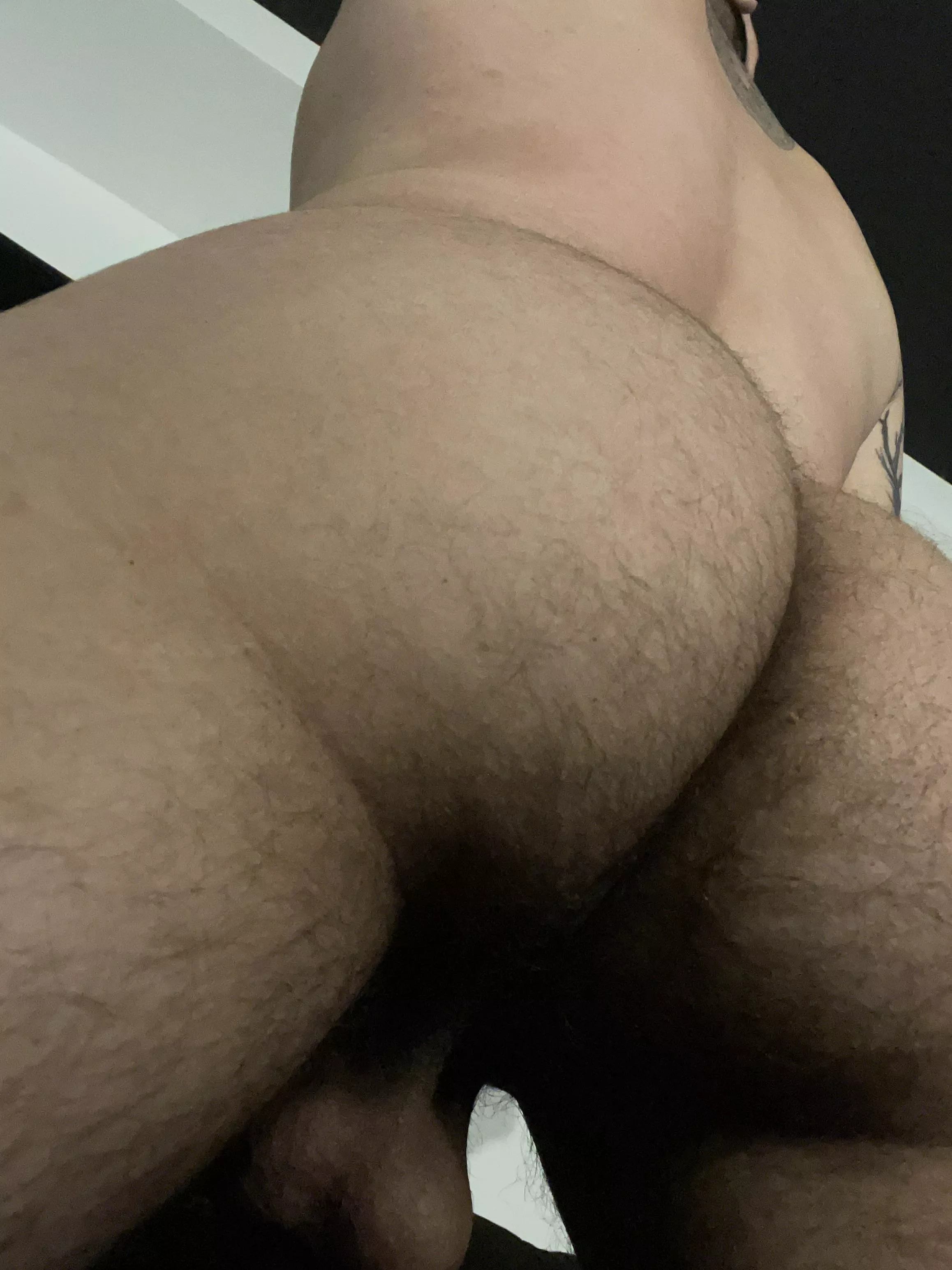 Would you lick my ass?