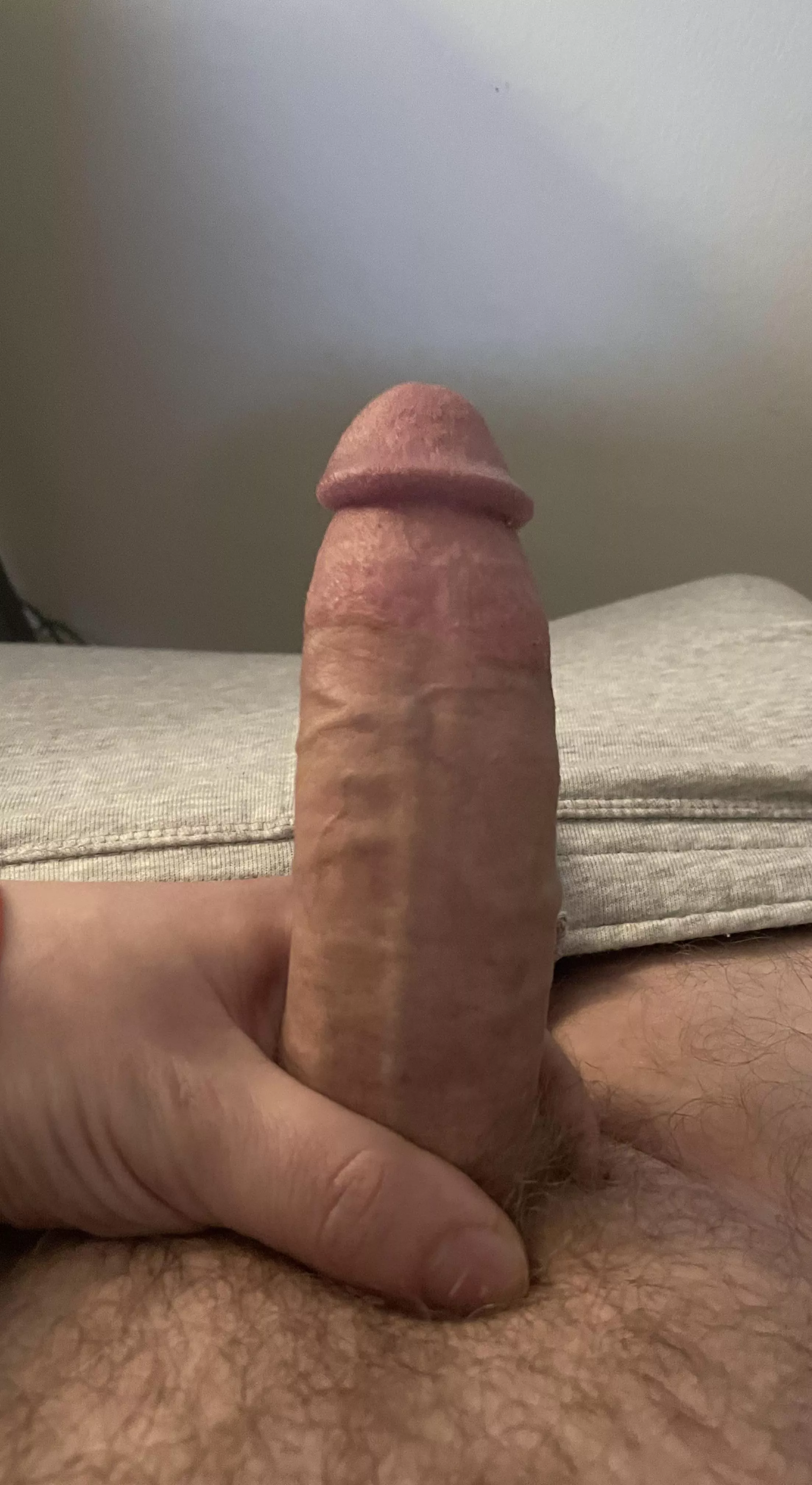 23 bi, Virginia