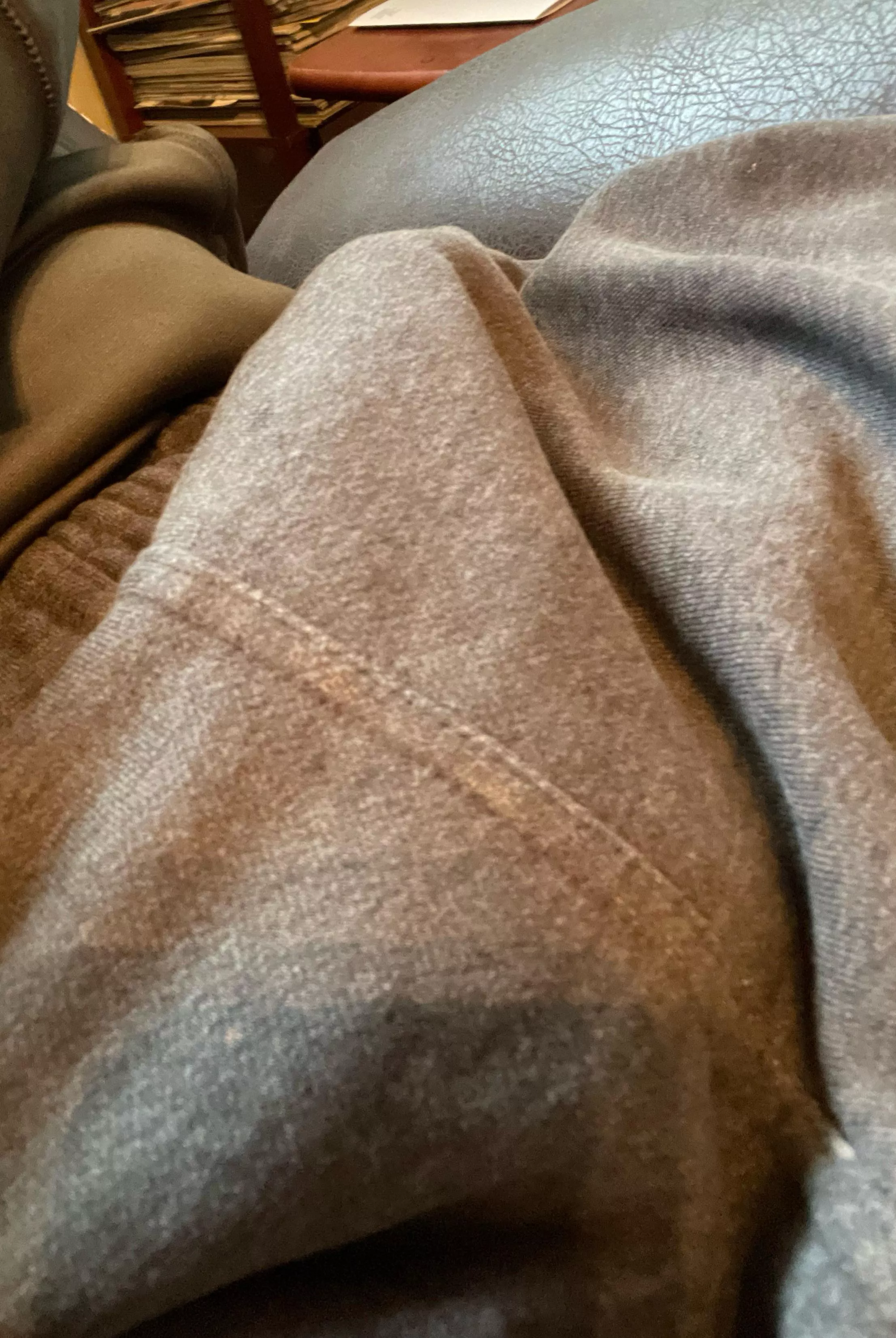 (41) Just (M)y Bulge