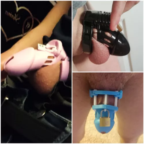 alright fellas, this one's a question for all the dad's here.. has your child ever seen your chasity while taking a piss? what in the hell did you tell em it was once they asked?!