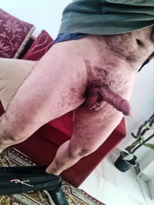 any beefy mature guys would like to enjoy this cock and thighs