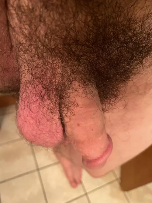 Anyone into bush? (31)