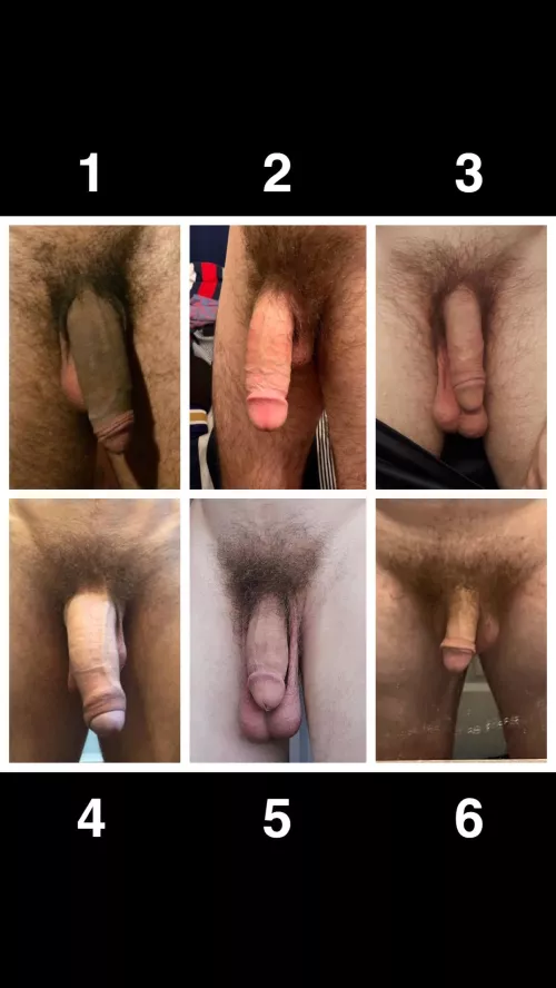 Contest for best flaccid dick. Rank them.