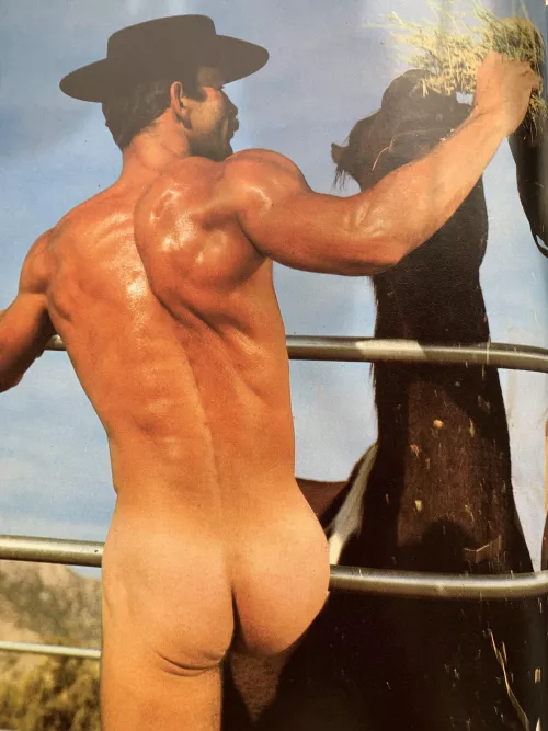 Cowboy arse