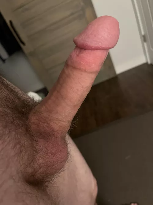 Getting excited this morning