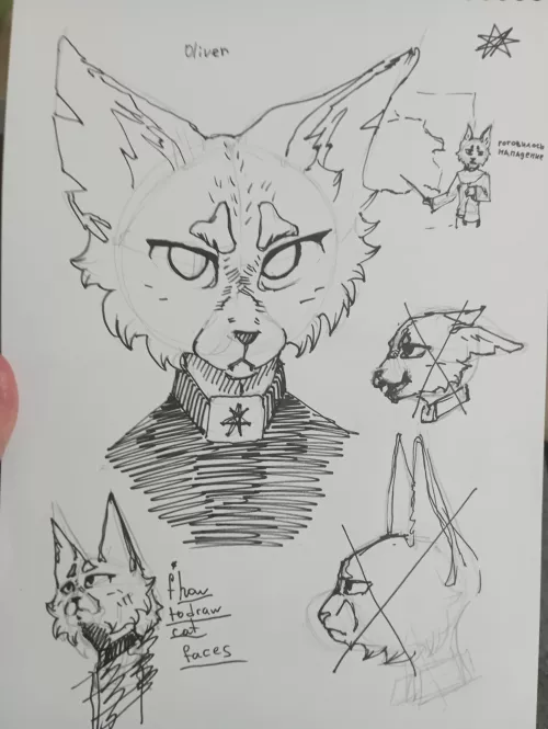 i guess... Meow? Does anyone else have a problem with drawing cats NOT frontal?