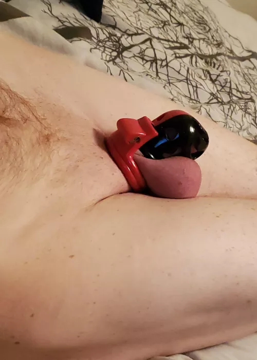 Left just a little ginger fur for you