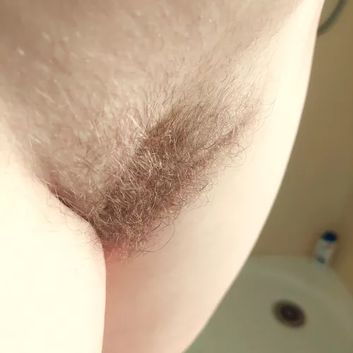 My Bush from side on always looks Amazing