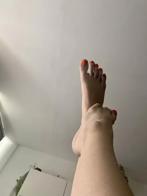 My toes want to play with your balls