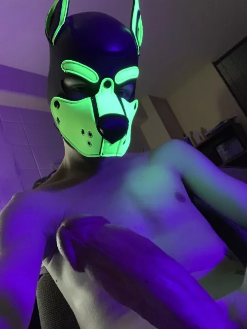 One whole year on Reddit! 🎉