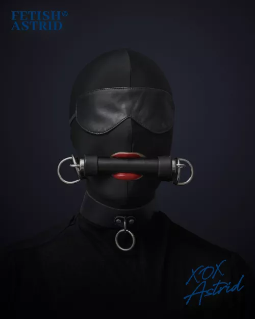 Portrait of a silent lady