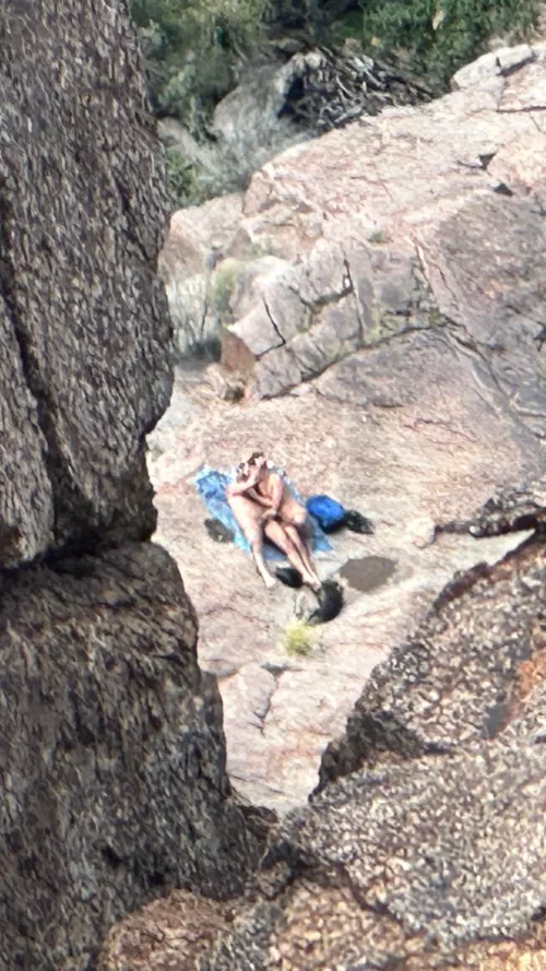 Saw these guys while hiking