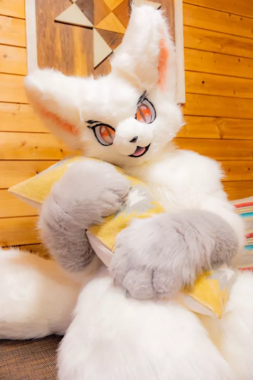 Shall we sleep together? 🤍 (@shiroikoi_furry on Twitter)