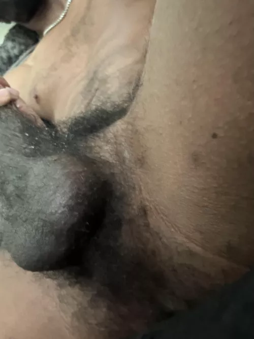 Suck my hairy Dick😈