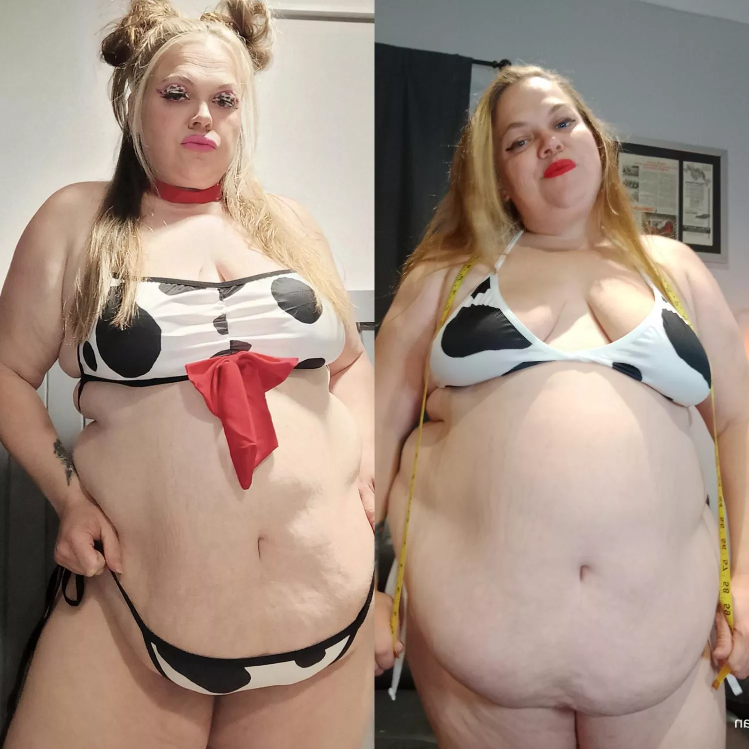 This Hucow has been on an intensive feeding regime