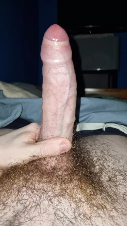 What would you do if I told you I just took this photo?